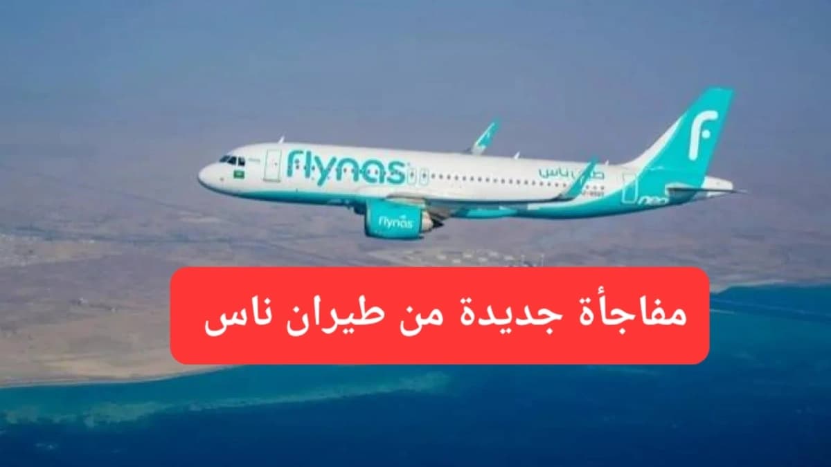 طائرة تابعة لشركة طيران فلاي ناس 