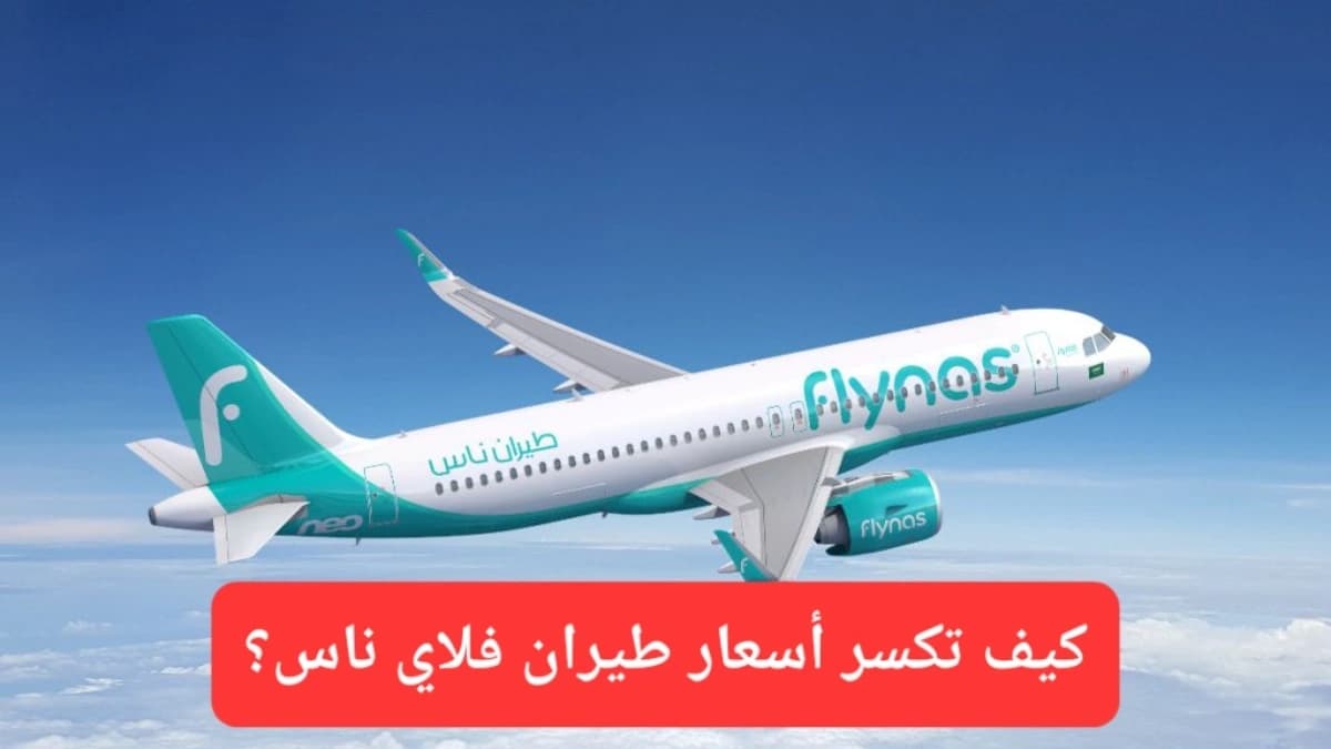 طائرة فلاي ناس 