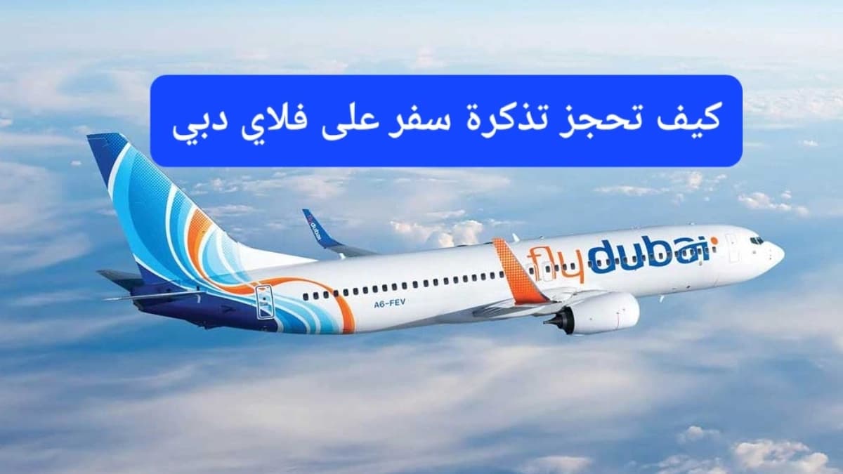 طائرة فلاي دبي 