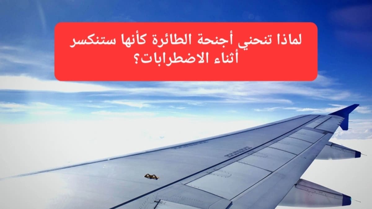 أجنحة الطائرة 