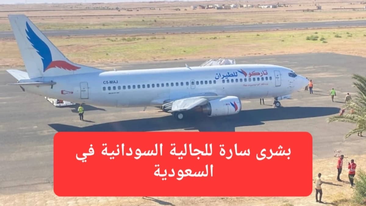 صورة إرشيفية.. طائرة تاركو للطيران في مطار دنقلا 