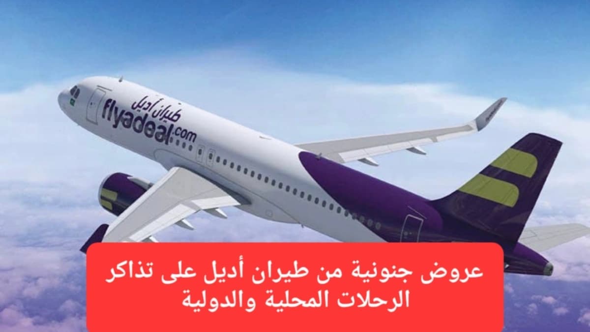 طائرة تابعة لأسطول طيران أديل 