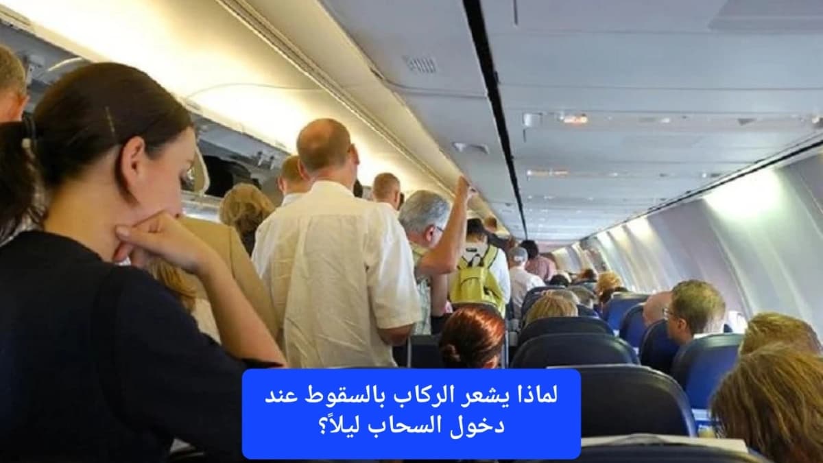 صورة تعبيرية.. الركاب في مقصورة الطائرة 