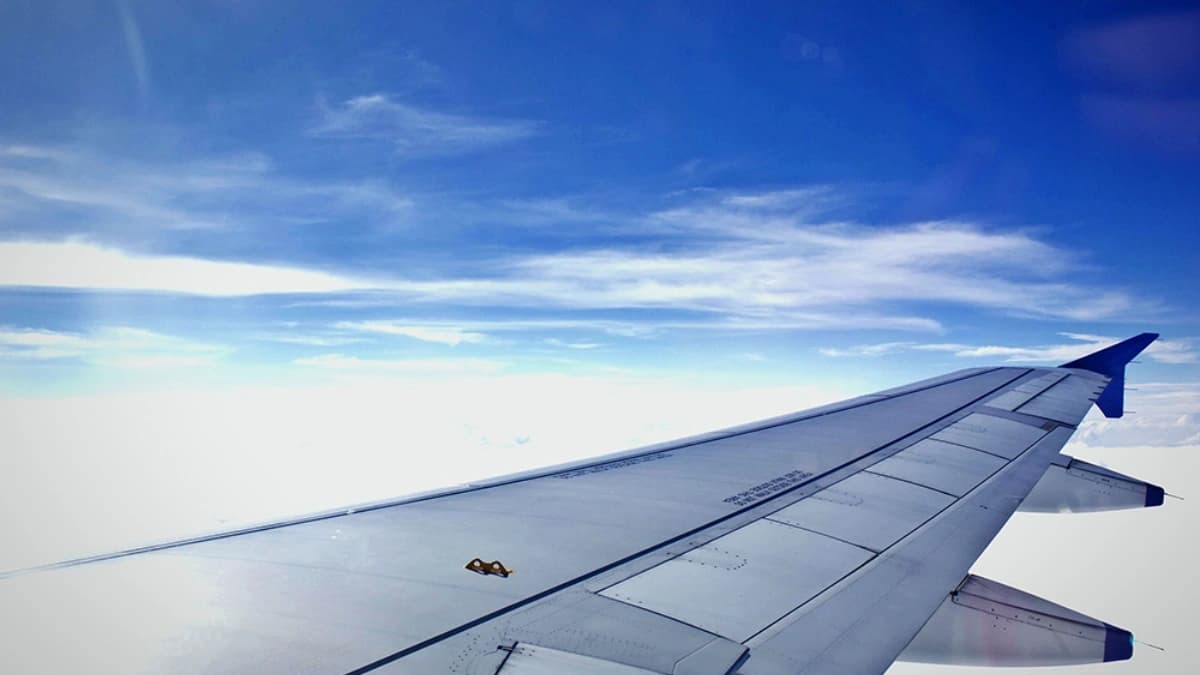 مخالب الجو: سر الأسنان الصغيرة على أجنحة الطائرات وكيف تمنع الانهيار الجوي