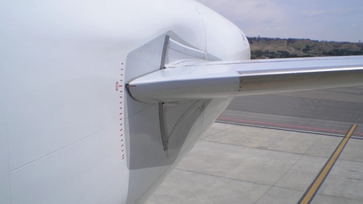 يعد ذيل الطائرة من أهم الأجزاء التي تحافظ على توازن الطائرة وسلامتها