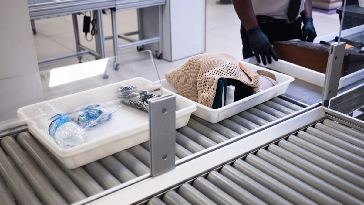 Credit: CARLA BERNHARDT/AFP via Getty Images