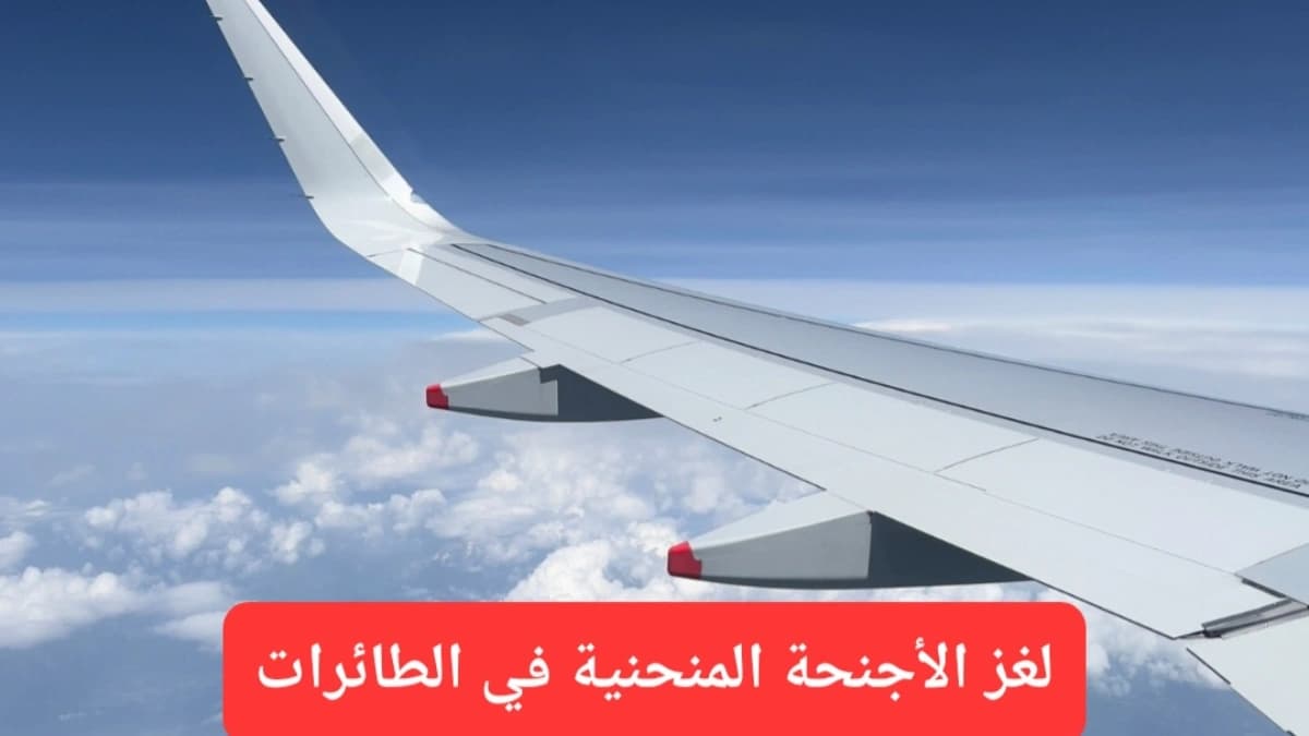 لغز الأجنحة المنحنية ولماذا ترفض الطائرات الاستقامة؟ أسرار من عالم الطيران