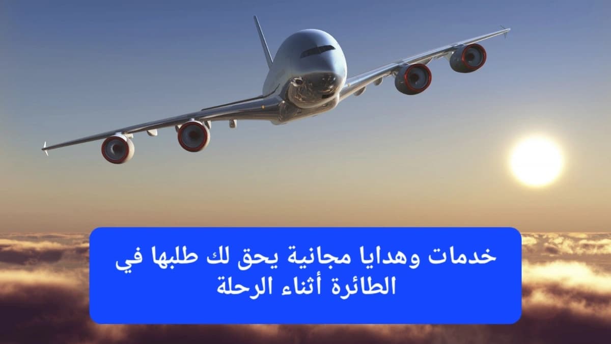 إحدى الطائرات أثناء تحليقها في الجو