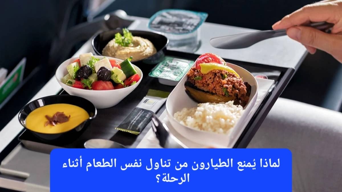 وجبة طعام في الطائرة