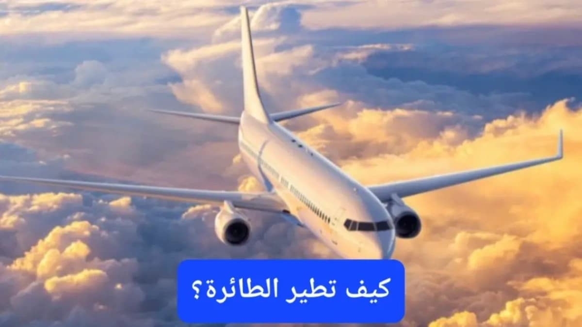 طائرة تجارية تحلق في الجو