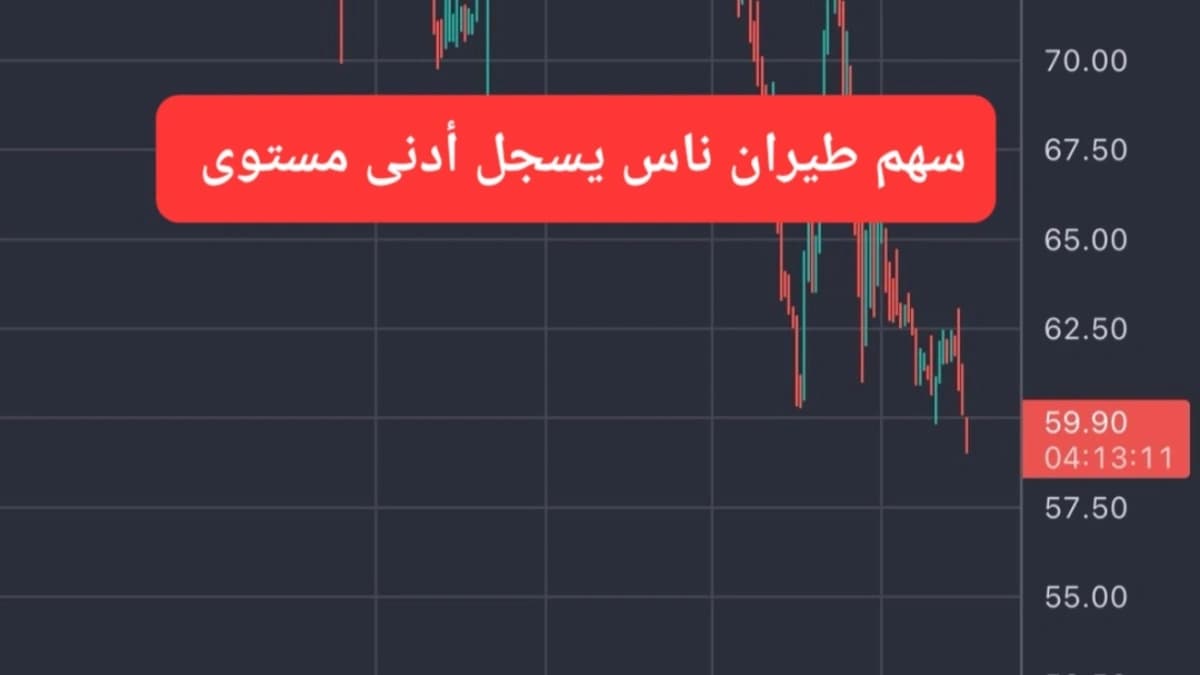 انخفاض سهم طيران ناس