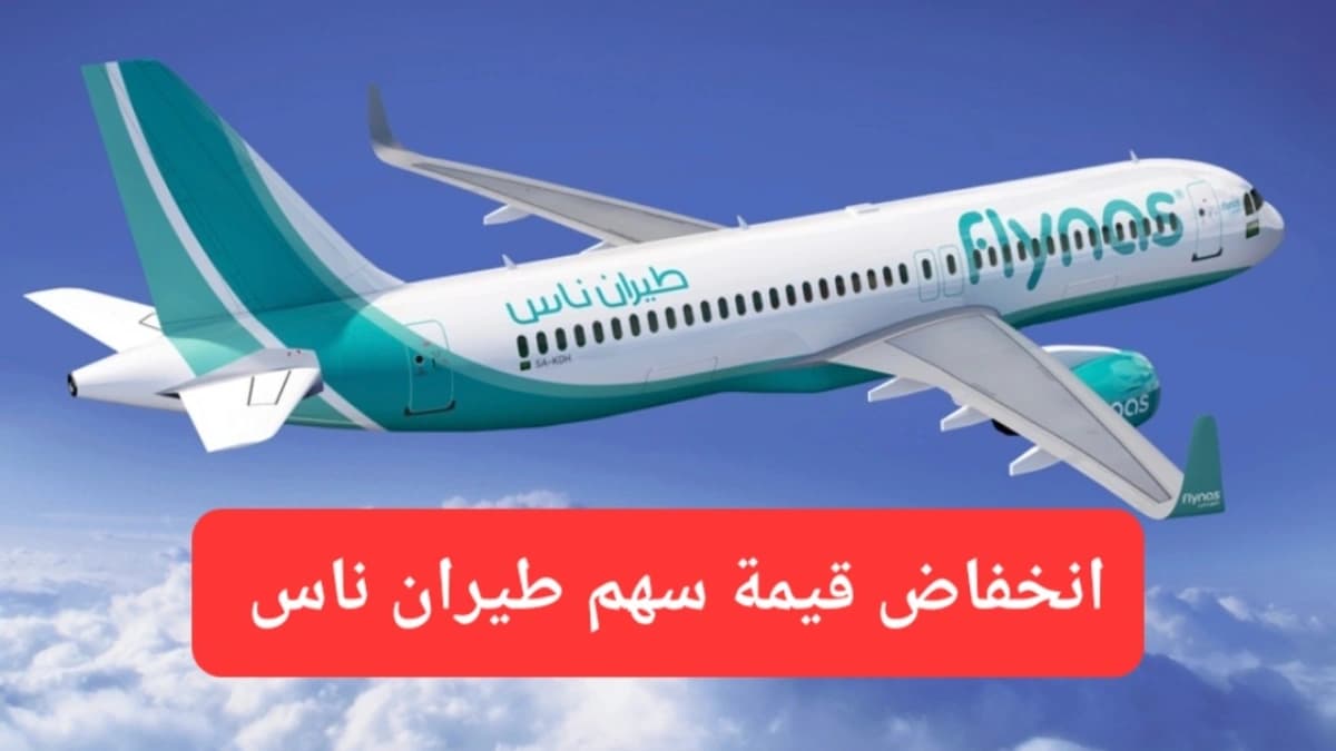 انخفاض قيمة سهم طيران ناس.. الصورة لطائرة شركة طيران فلاي ناس