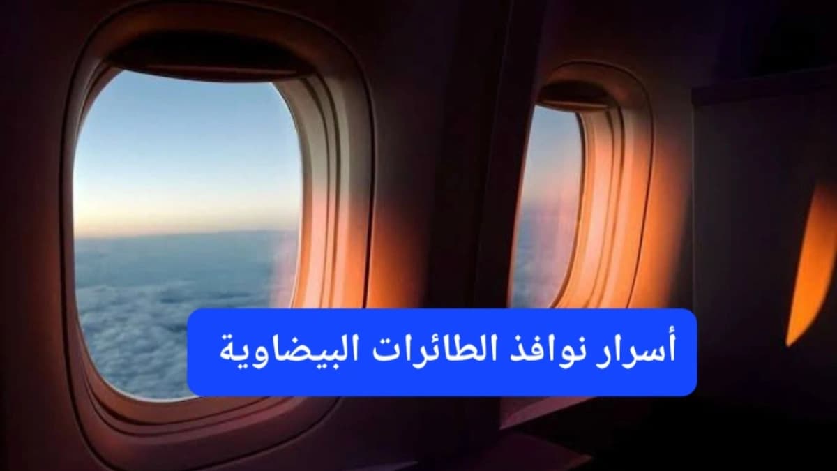 نوافذ إحدى الطائرات